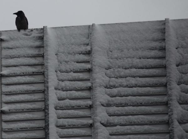 Yoksulluk içimizde 16