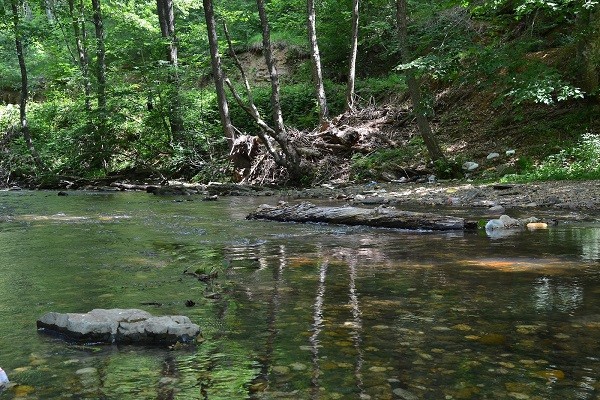 Yarı yıl tatili için İstanbul'a yakın mekanlar 13