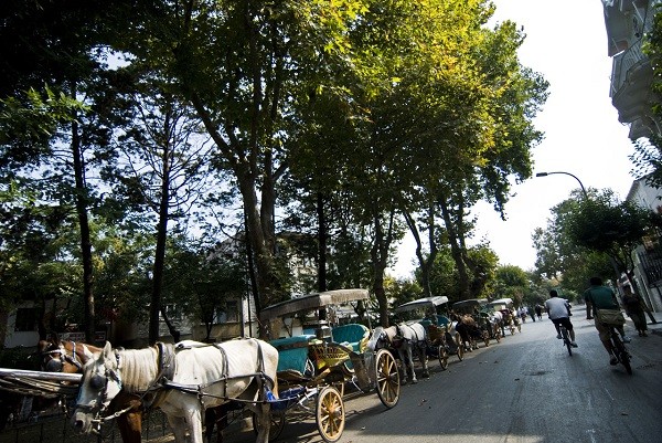 Yarı yıl tatili için İstanbul'a yakın mekanlar 14