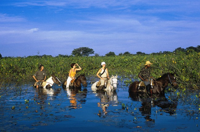Dünyanın en sulak bölgesi; Pantanal 3