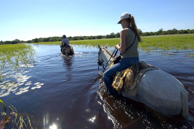 Dünyanın en sulak bölgesi; Pantanal 6