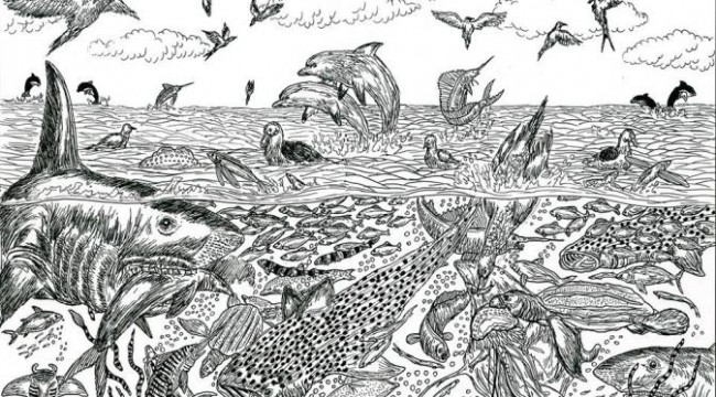 13 yaşındaki karakalem dehası 8