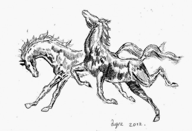 13 yaşındaki karakalem dehası 9