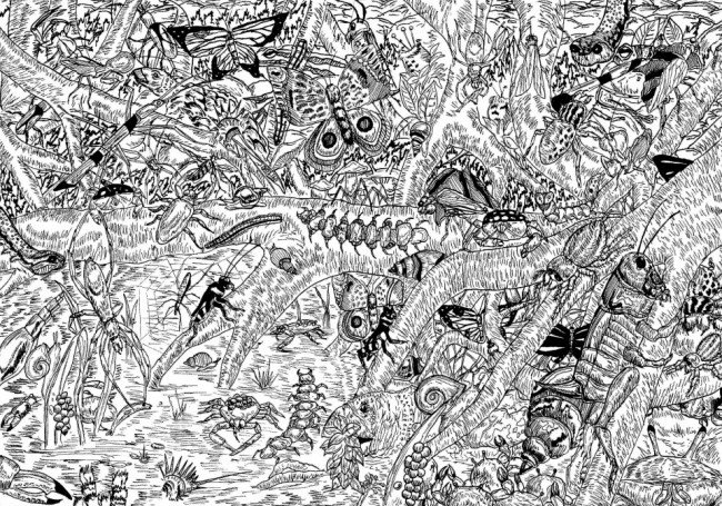 13 yaşındaki karakalem dehası 17