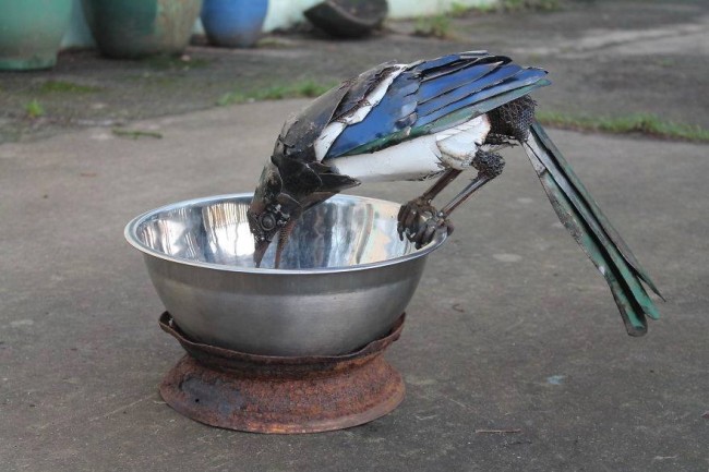 Hurdadan hayvan figürleri yapıyor 9