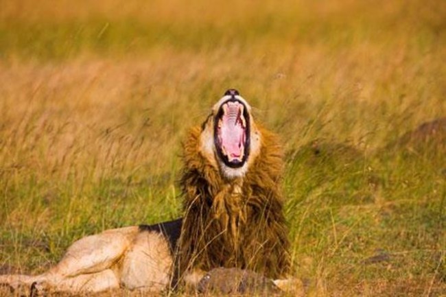 Mustafa Koç dolu dolu yaşadı 14