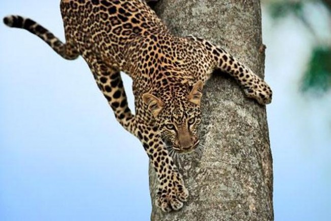 Mustafa Koç dolu dolu yaşadı 17