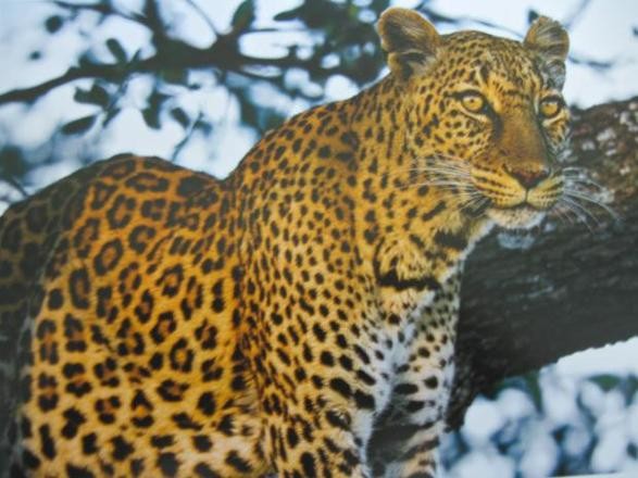 Mustafa Koç dolu dolu yaşadı 18