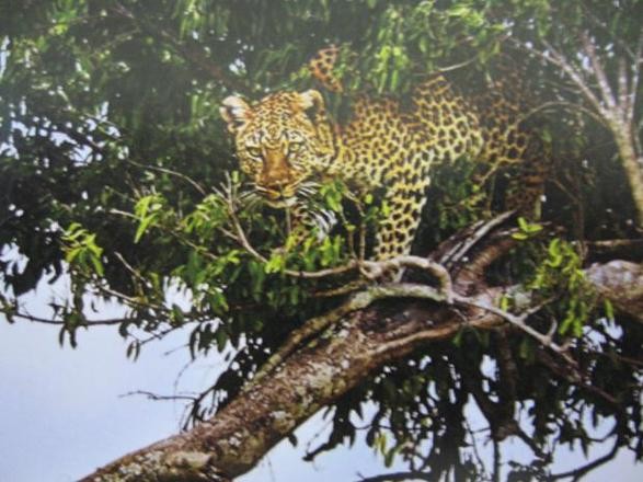 Mustafa Koç dolu dolu yaşadı 20