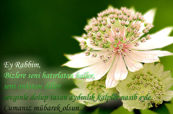 Resimli Cuma mesajları 44