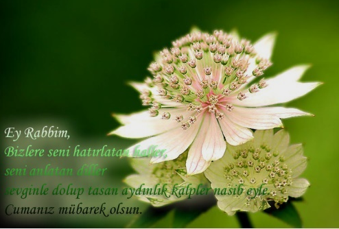 Resimli Cuma mesajları 63