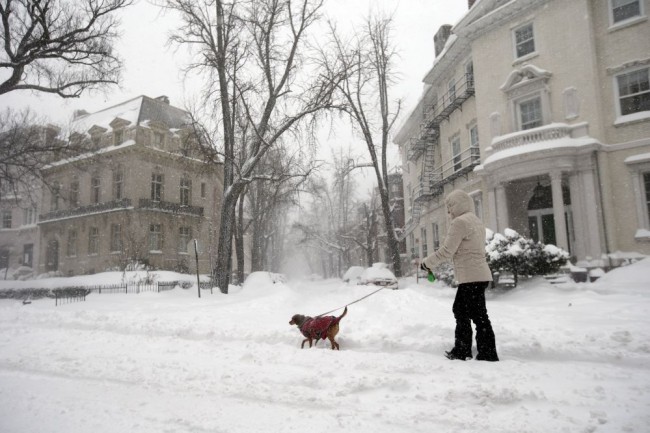 ABD'de tarihi kar fırtınası 8