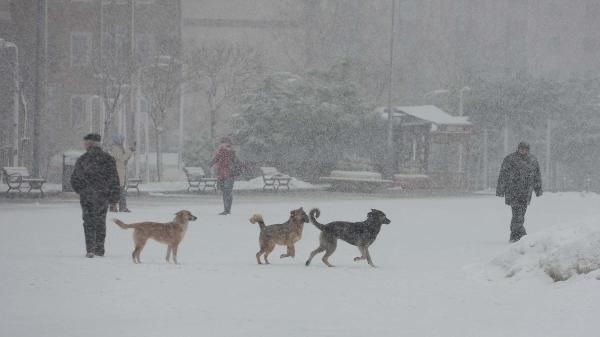 İstanbul'dan kar manzaraları... 6