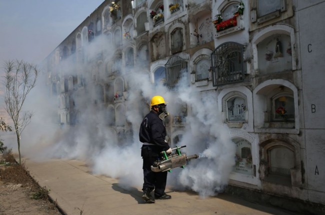 Sivrisineklere karşı 220 bin asker 10