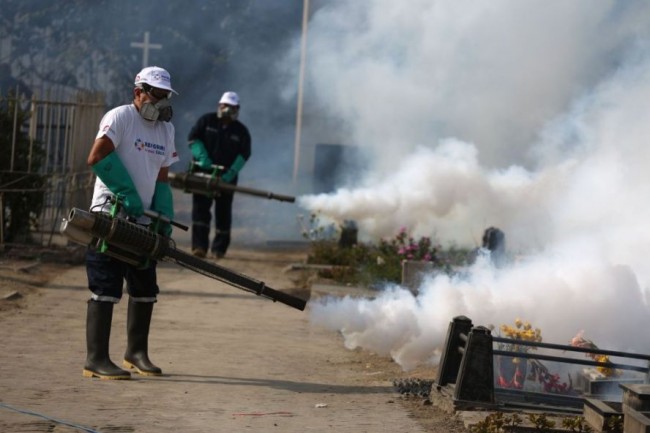 Sivrisineklere karşı 220 bin asker 11