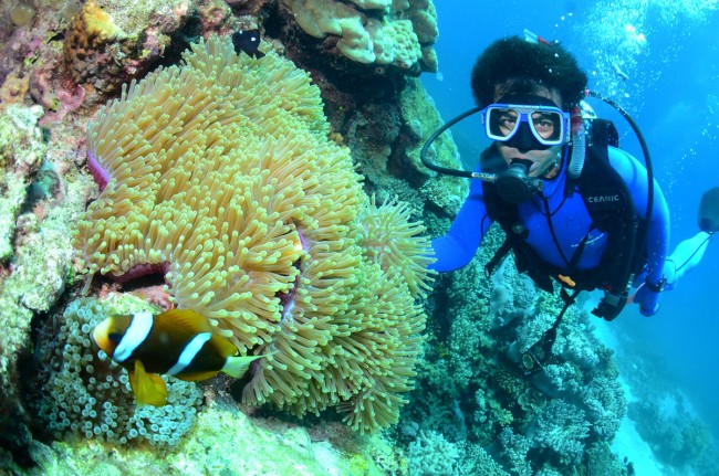 Denizkızları burada yaşıyor 1