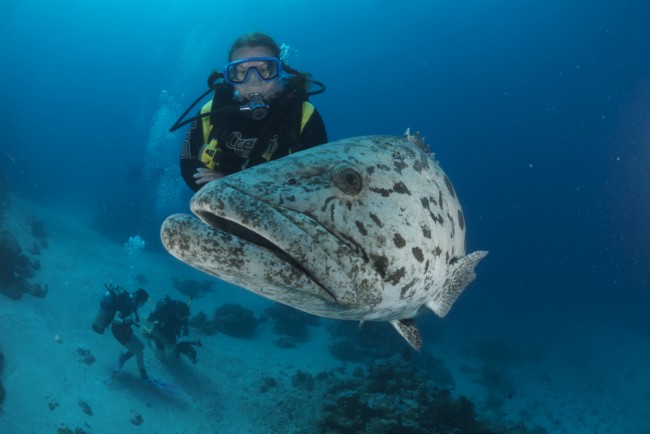 Denizkızları burada yaşıyor 11