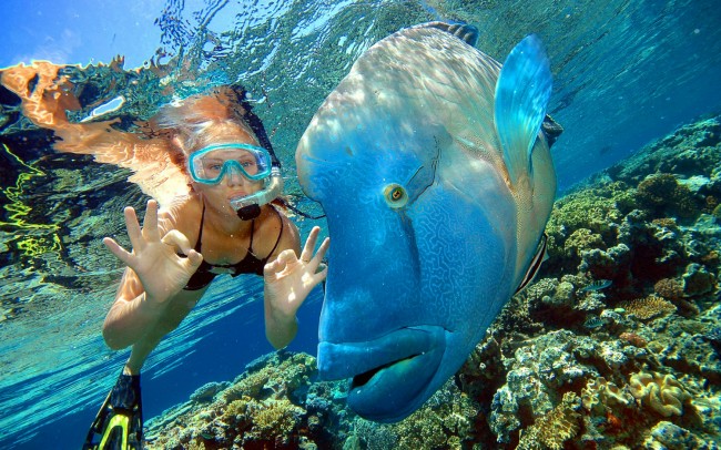 Denizkızları burada yaşıyor 5