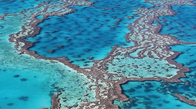 Denizkızları burada yaşıyor 8