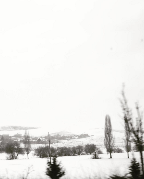 İnstagram'da ünlüler - 30 Ocak 2016 1