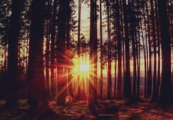 İnstagram'da ünlüler - 31 Ocak 2016 1