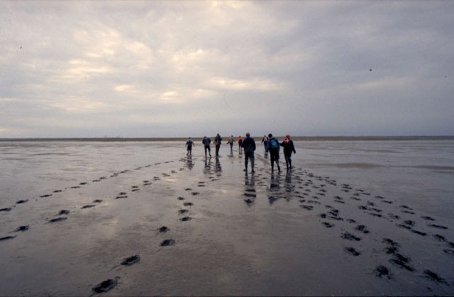 Gerçek gel-git burada izlenir 4