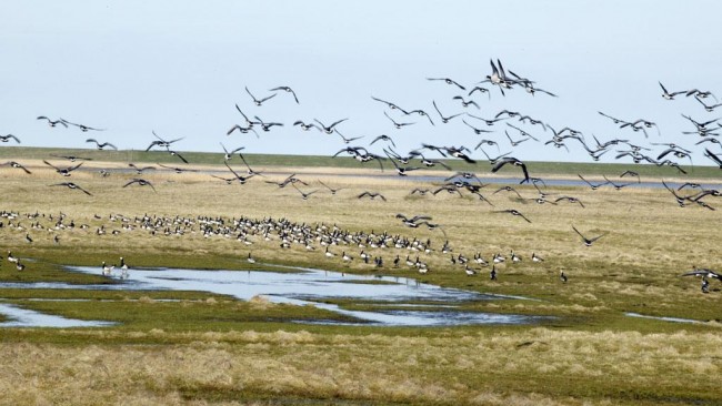 Gerçek gel-git burada izlenir 6