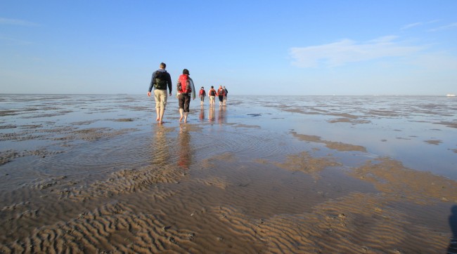 Gerçek gel-git burada izlenir 8