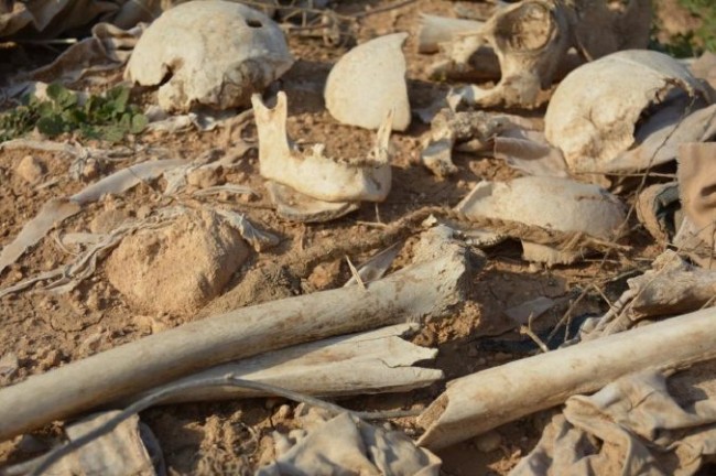 Sincar'da 35 toplu mezar bulundu 4