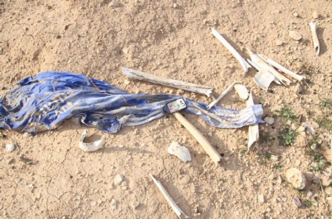 Sincar'da 35 toplu mezar bulundu 5