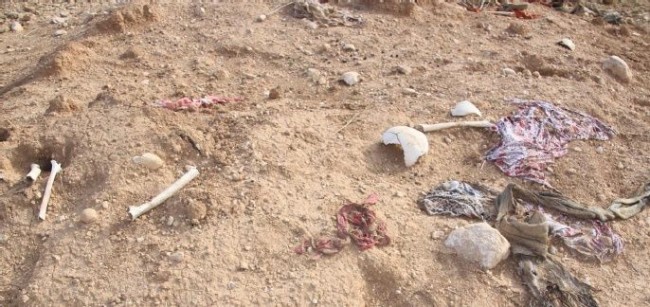 Sincar'da 35 toplu mezar bulundu 7