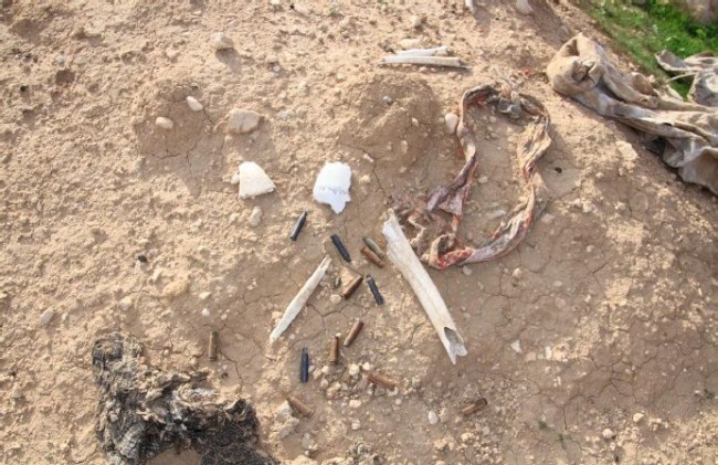 Sincar'da 35 toplu mezar bulundu 8