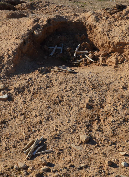 Sincar'da 35 toplu mezar bulundu 1