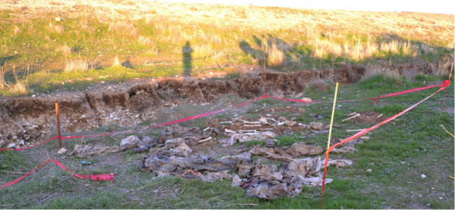 Sincar'da 35 toplu mezar bulundu 9