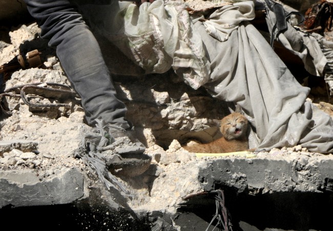 Halep'te Rus katliamı 2