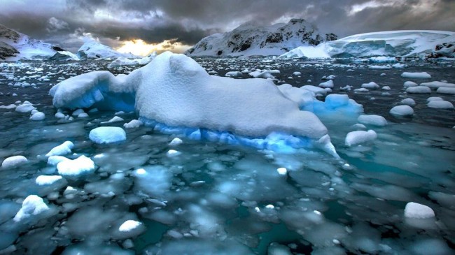 Eksi 2 derecede Güney Okyanus'a daldılar 4