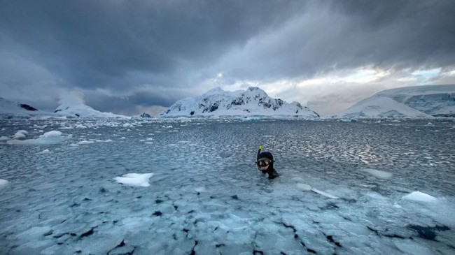 Eksi 2 derecede Güney Okyanus'a daldılar 5