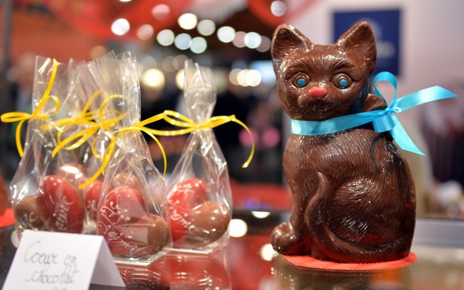 Brüksel'de çikolata fuarı düzenlendi 1