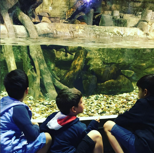 Instagram'da ünlüler - 8 Şubat Pazartesi 2016 9