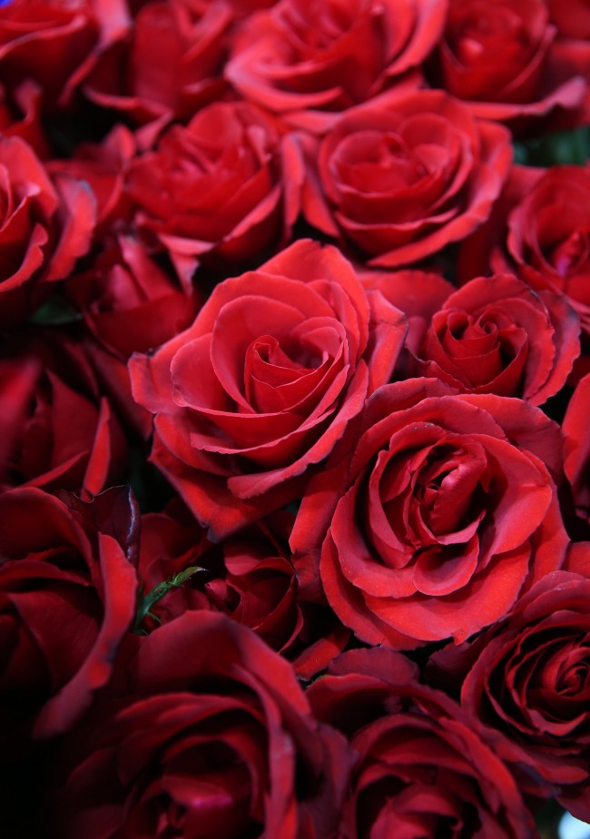 14 Şubat için geri sayım başladı 3