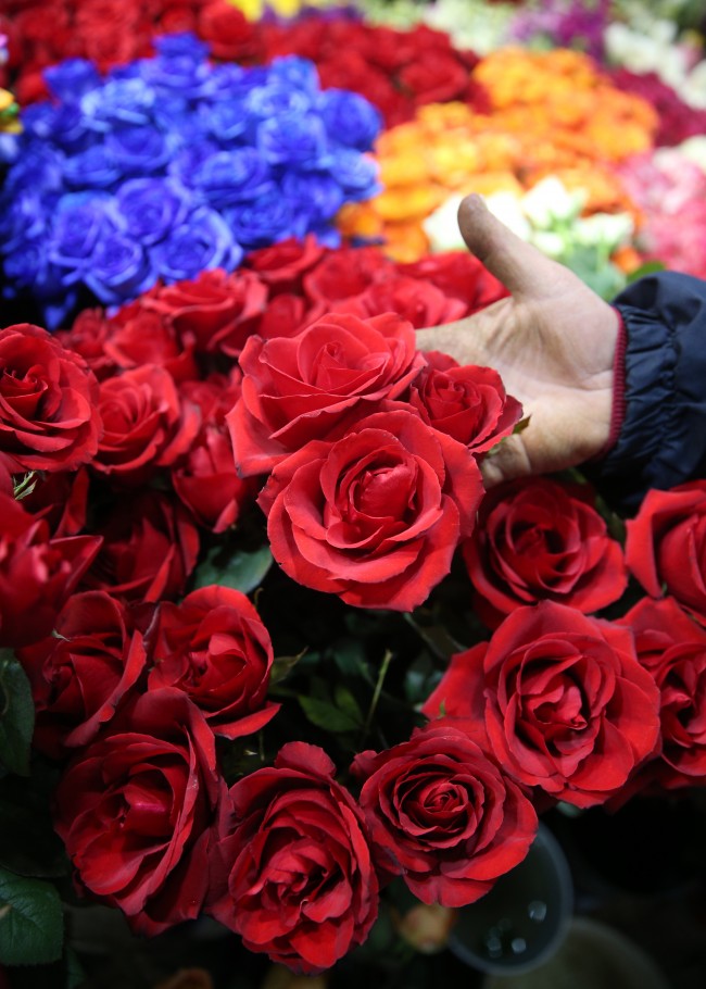 14 Şubat için geri sayım başladı 4