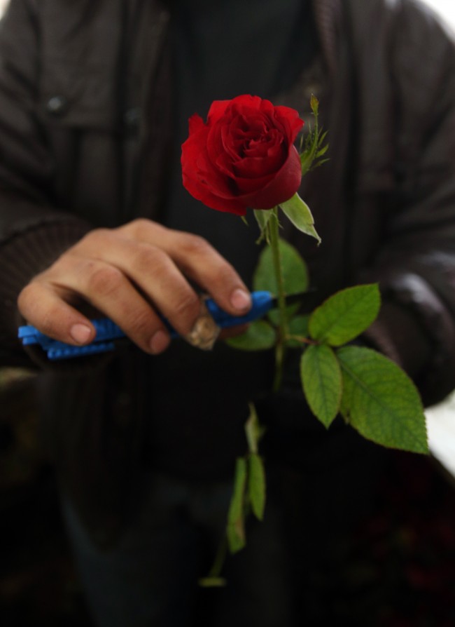 14 Şubat için geri sayım başladı 5