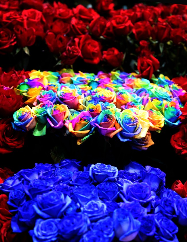 14 Şubat için geri sayım başladı 7