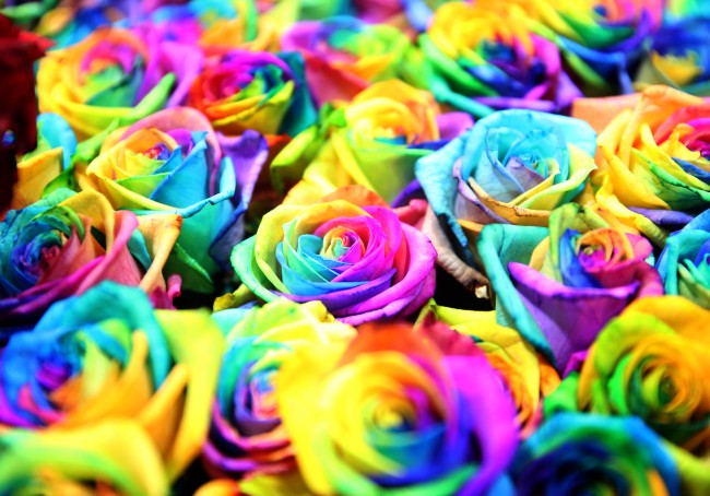 14 Şubat için geri sayım başladı 6