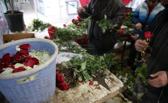 14 Şubat için geri sayım başladı 8