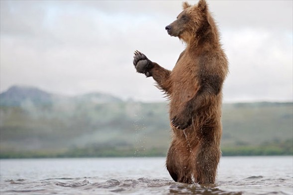 Sevgililer Gününde yapılmaması gereken 14 kusurlu hareket 2