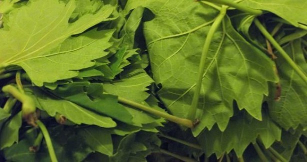 İşte varisin doğal tedavisinde kullanılan besinler 1