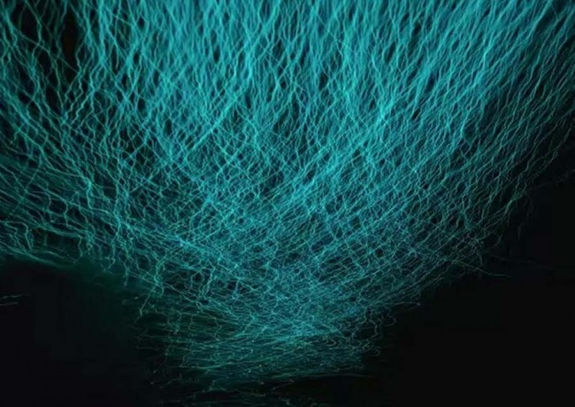 Yeni Zelanda'nın Yıldız Kurdu Mağarası 1