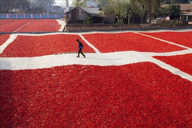 Bangladeş'te zor üretim 2