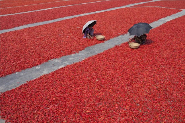 Bangladeş'te zor üretim 3
